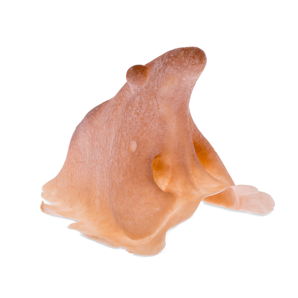 Productafbeelding Heksenneus van Latex