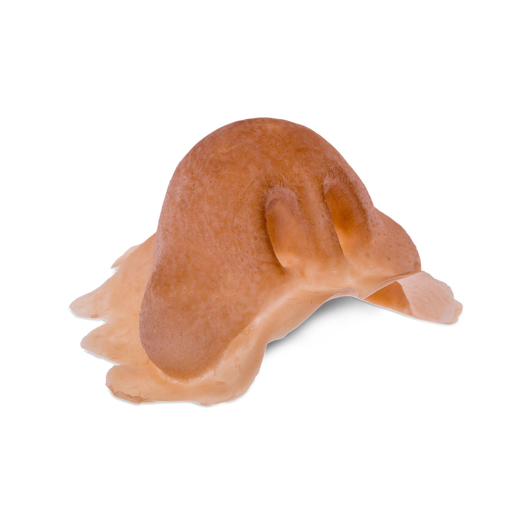 Productafbeelding Knoll - Latex Neus