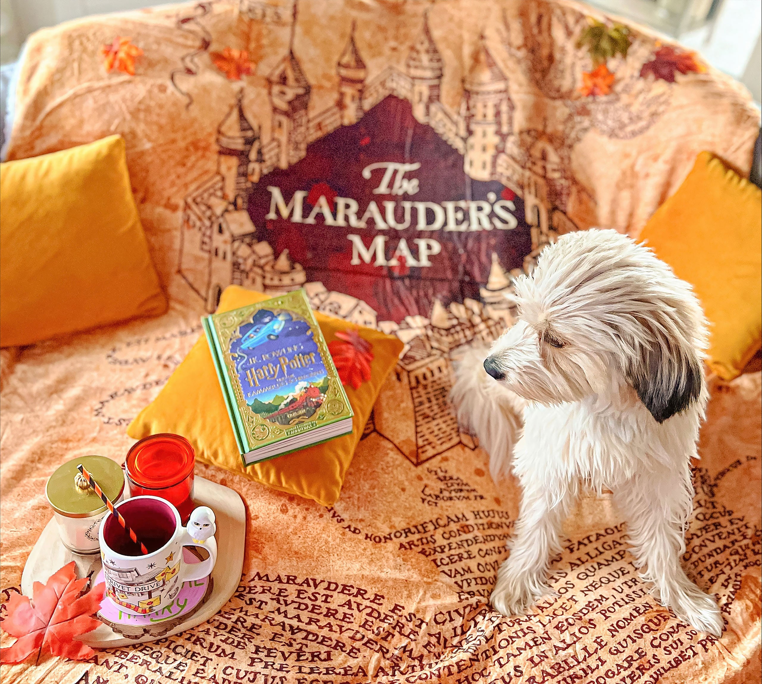 Productafbeelding Harry Potter - Marauders Map Pluizige Deken met Teddybont