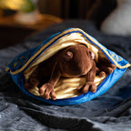 Productafbeelding Harry Potter - Chocolade Kikker Kussen met Pluche Figuur