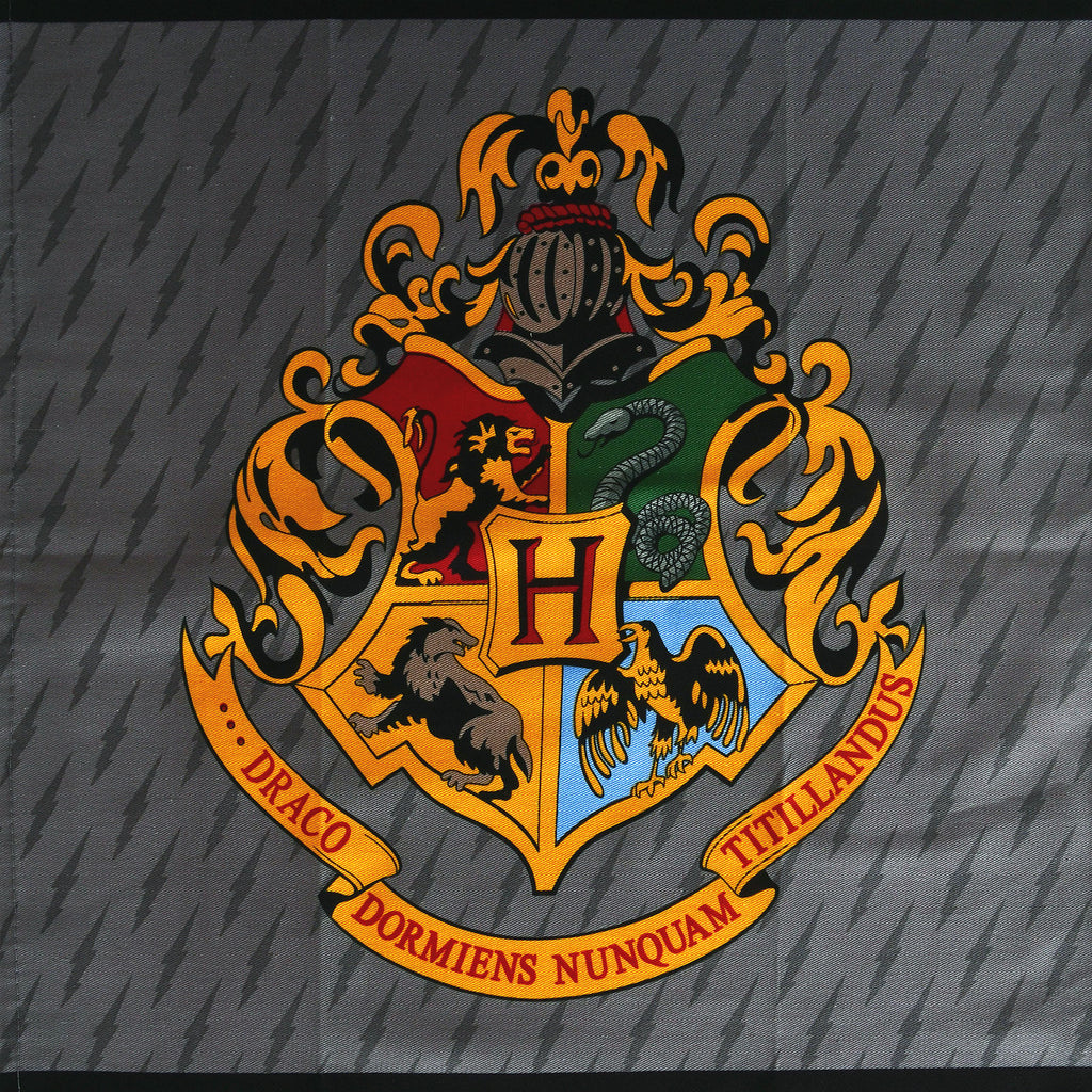 Productafbeelding Harry Potter - Sluipwegwijzer & Hogwarts Theedoeken Set