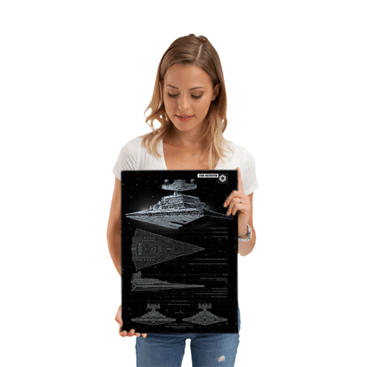 Productafbeelding Star Wars - Star Destroyer Metalen Poster