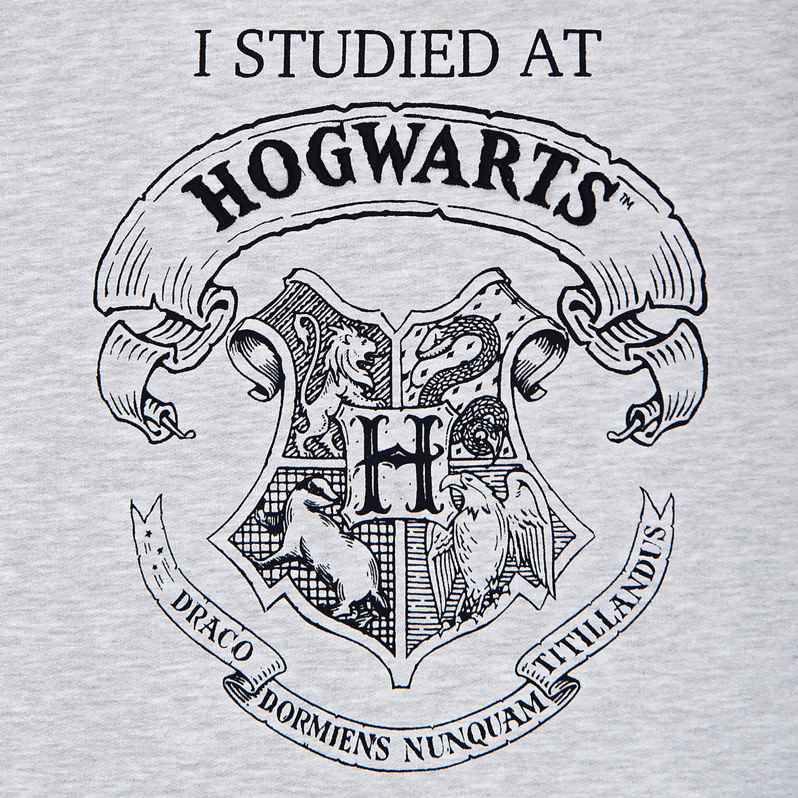 Product image Harry Potter - I Studied at Hogwarts Women's Sweater Grey