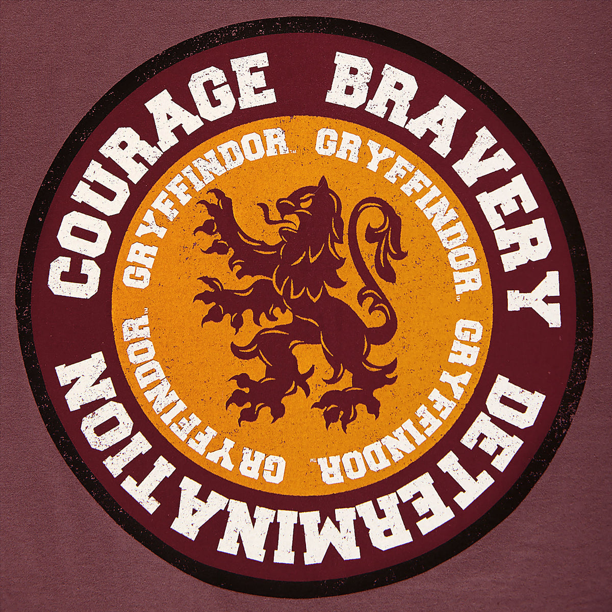 Productafbeelding Harry Potter - Gryffindor Values T-Shirt Rood