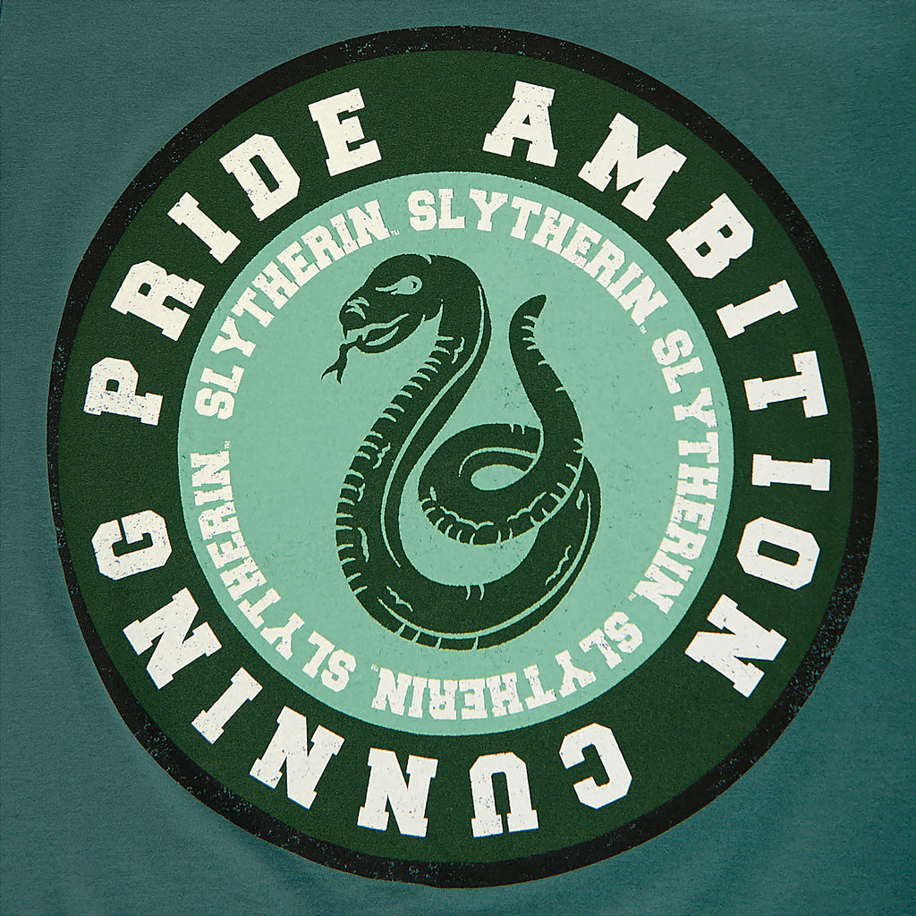 Productafbeelding Harry Potter - Slytherin Values T-shirt groen