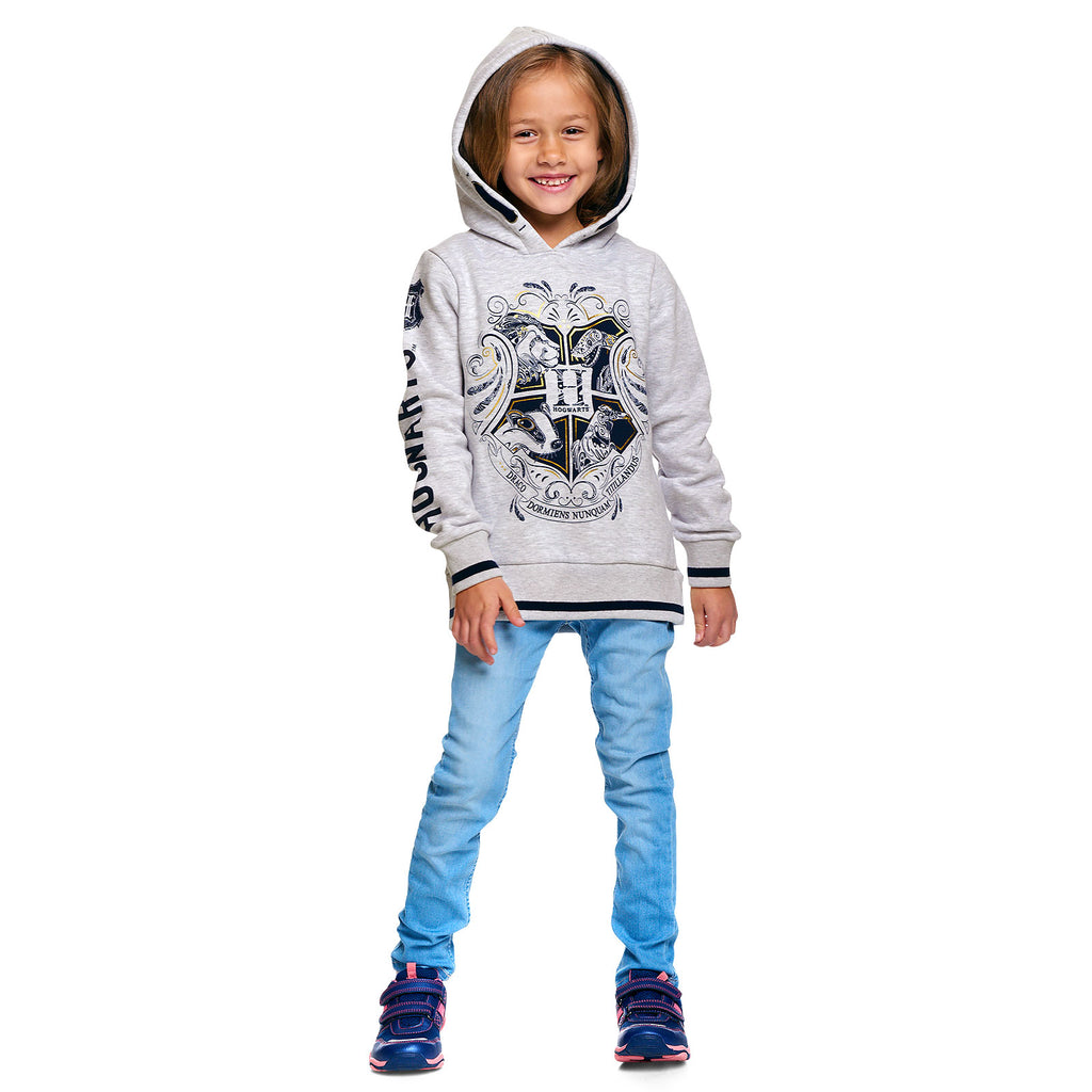 Productafbeelding Harry Potter - Hogwarts Kinder Hoodie Grijs