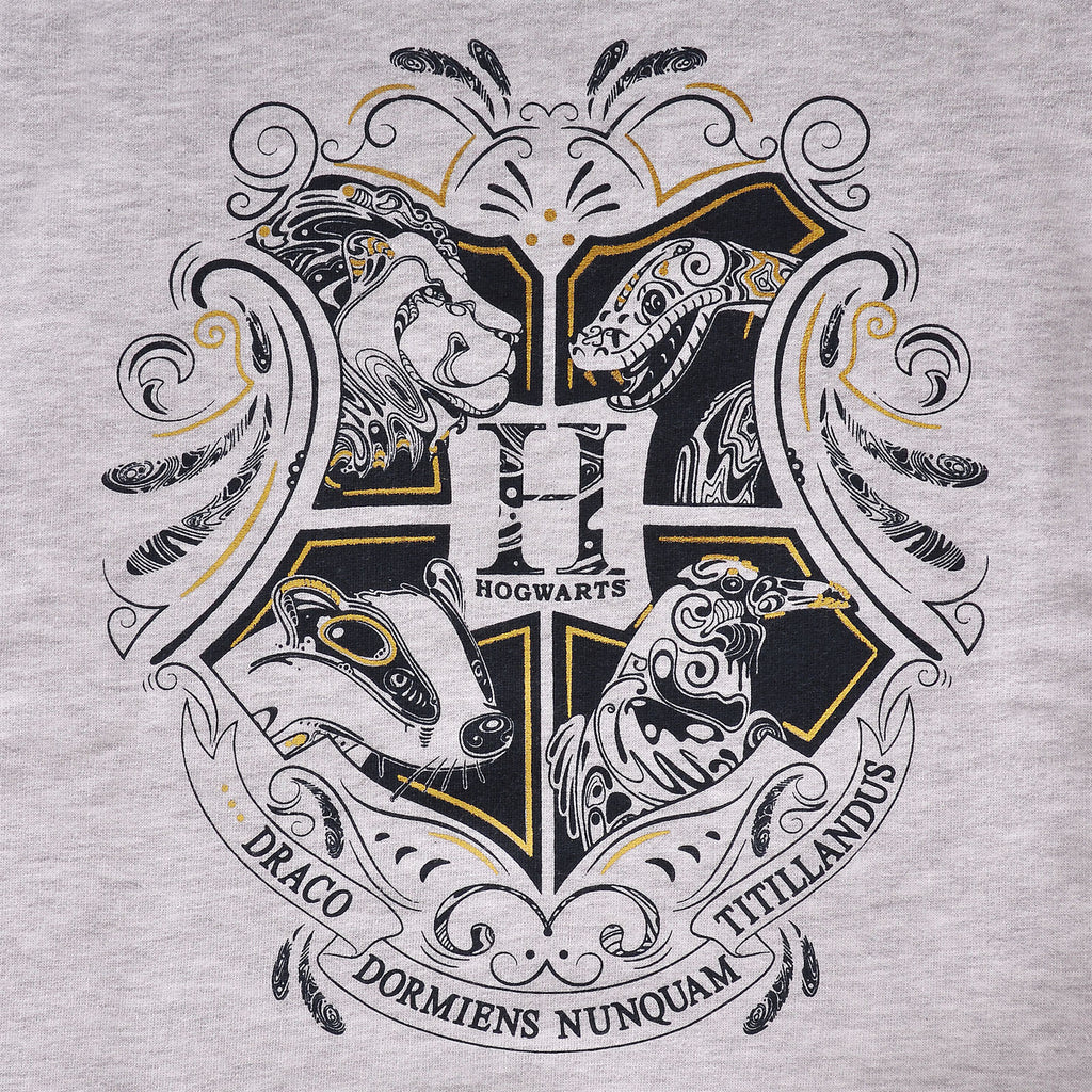Productafbeelding Harry Potter - Hogwarts Kinder Hoodie Grijs