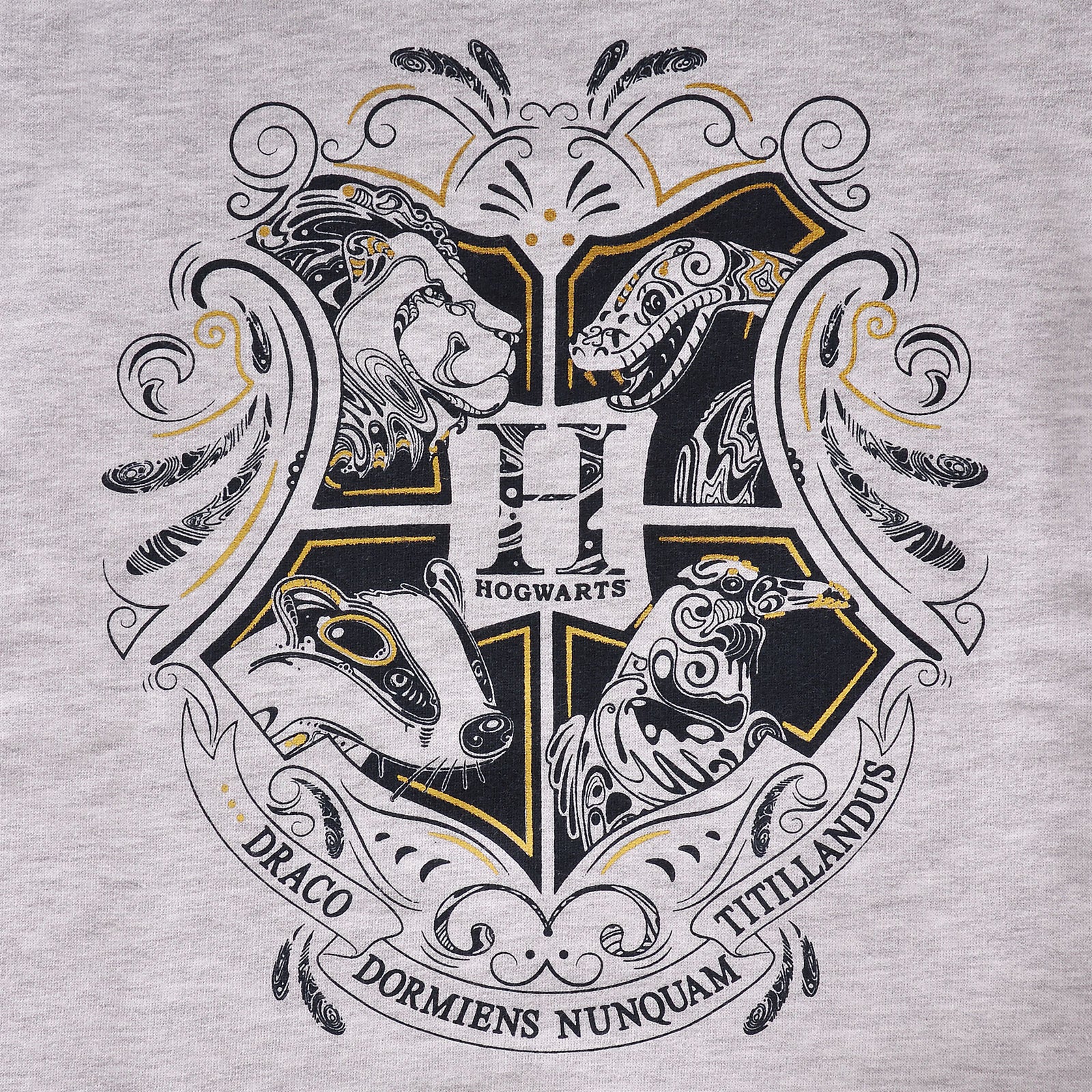 Productafbeelding Harry Potter - Hogwarts Kinder Hoodie Grijs