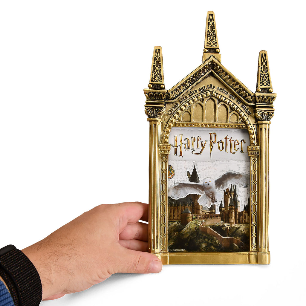 Productafbeelding Harry Potter - Spiegel van Neregeb Fotolijst