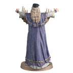 Product image Albus Dumbledore Hero Collector figure 12 cm - Harry Potter