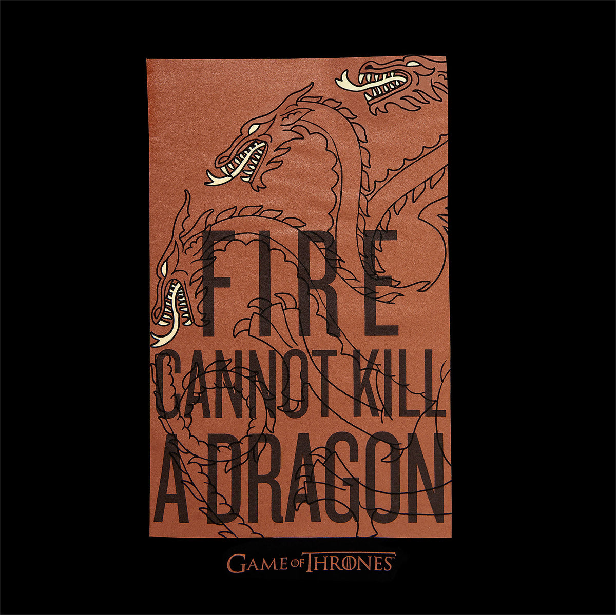Productafbeelding Game of Thrones - Vuur Kan geen Draak Doden Targaryen T-Shirt zwart