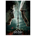 Productafbeelding Harry Potter - Harry vs. Voldemort Puzzel