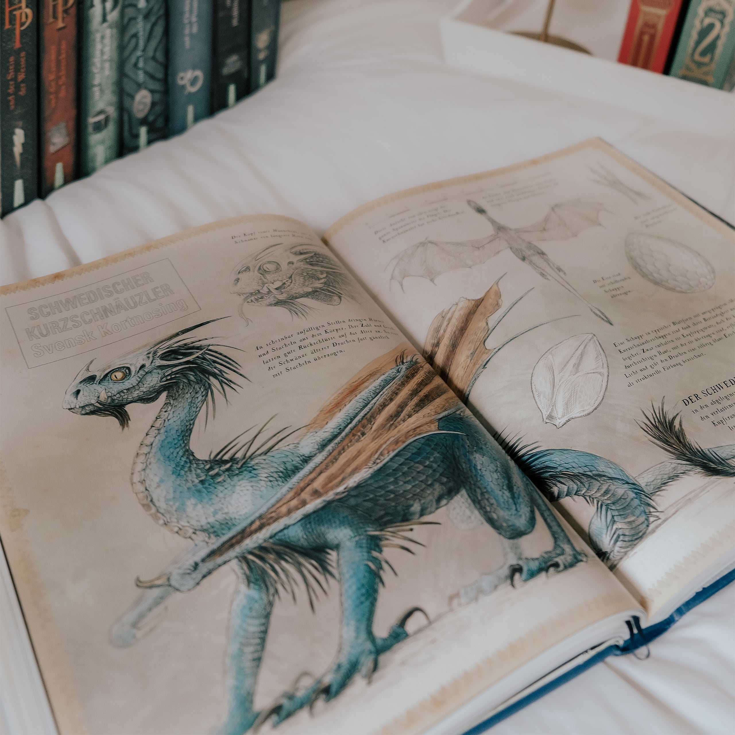 Productafbeelding Harry Potter en de Vuurbeker - Sieradeneditie