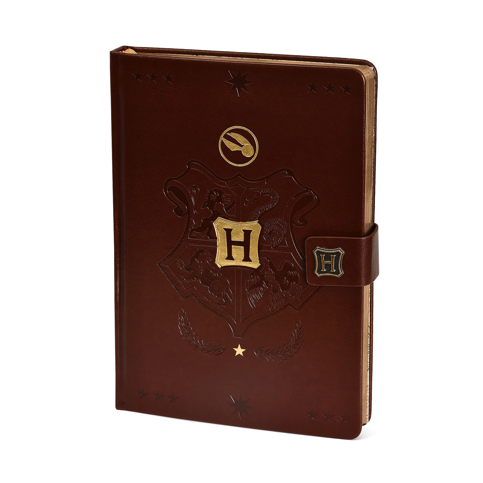 Productafbeelding Harry Potter - Hogwarts Zwerkbal Premium Notitieboek A5