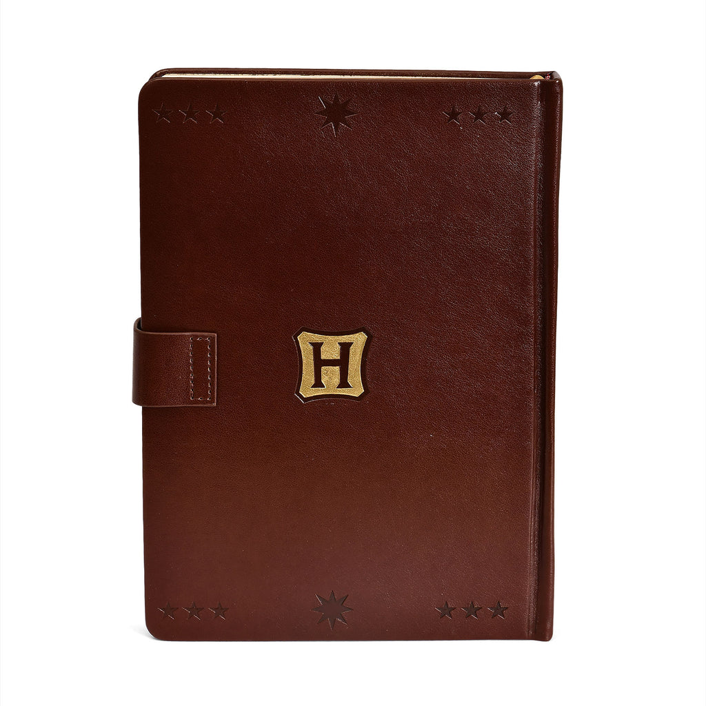 Productafbeelding Harry Potter - Hogwarts Zwerkbal Premium Notitieboek A5