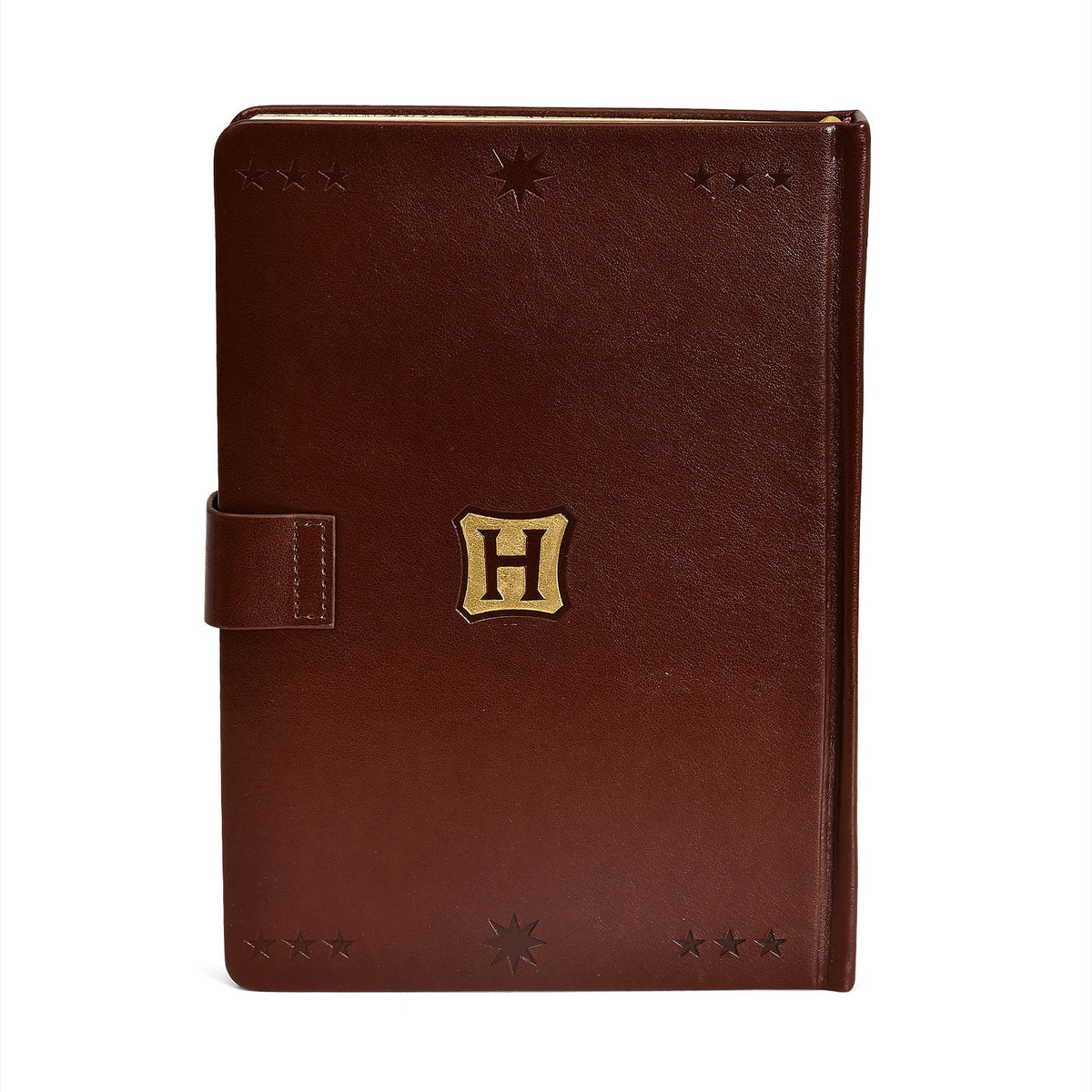 Productafbeelding Harry Potter - Hogwarts Zwerkbal Premium Notitieboek A5