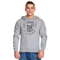 Productafbeelding Harry Potter - Hogwarts Wapen Hoodie grijs