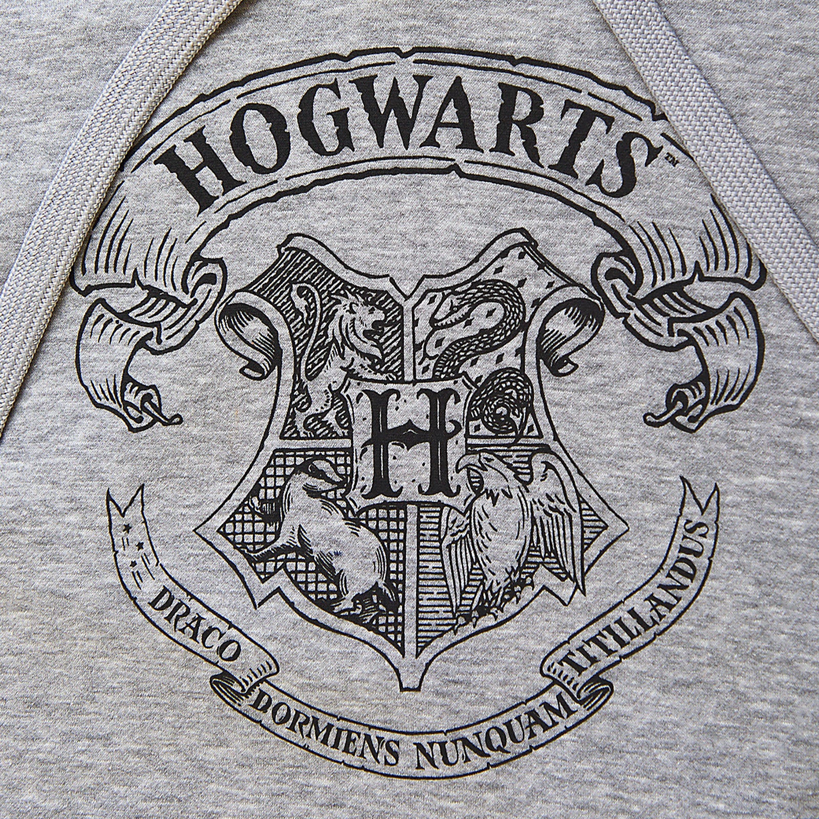 Productafbeelding Harry Potter - Hogwarts Wapen Hoodie grijs