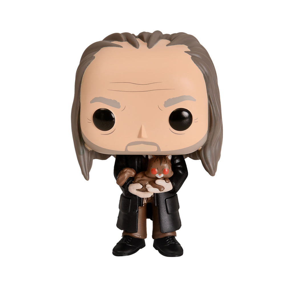 Productafbeelding Harry Potter - Filch met Mrs Norris Yule Ball Funko Pop Figurine