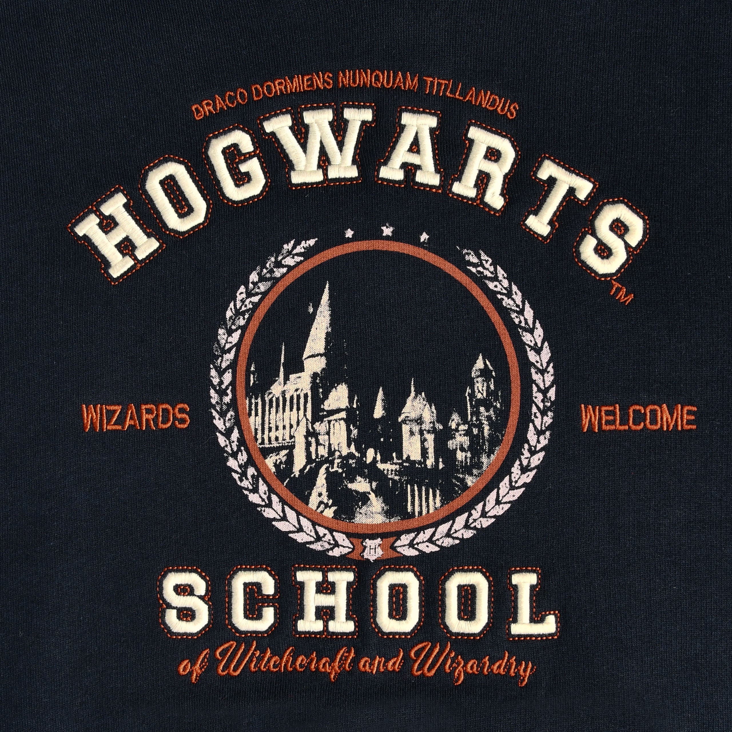 Product image Harry Potter - Hogwarts School Children's Hoodie Blue