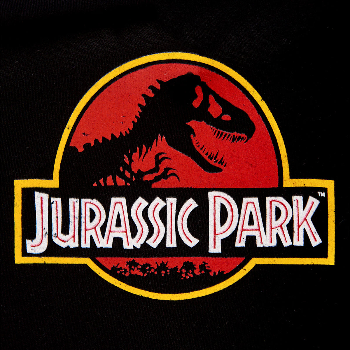 Productafbeelding Jurassic Park - Filmlogo Kinder Hoodie Zwart