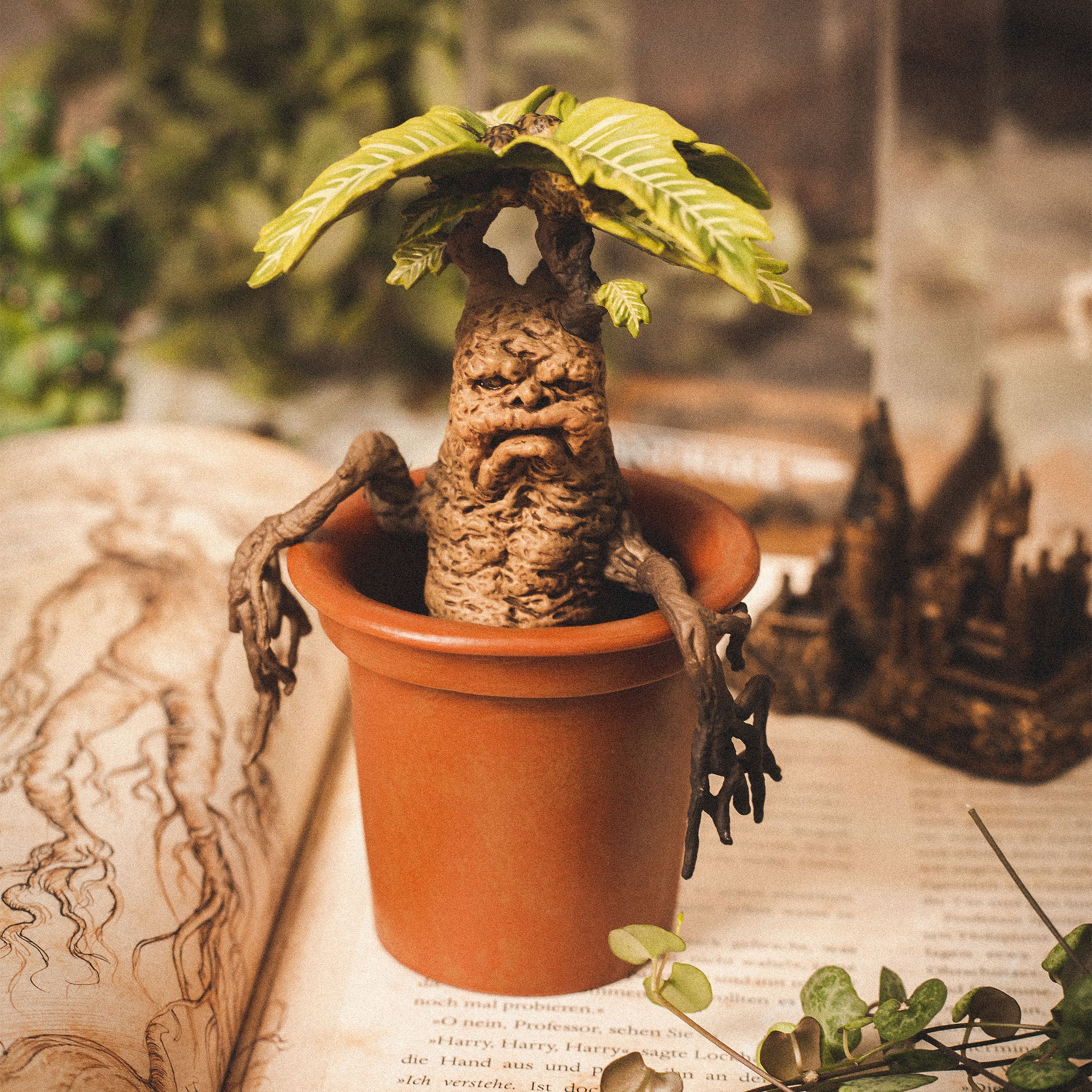 Productafbeelding Mandragora - Harry Potter Magische Wezens Figuur
