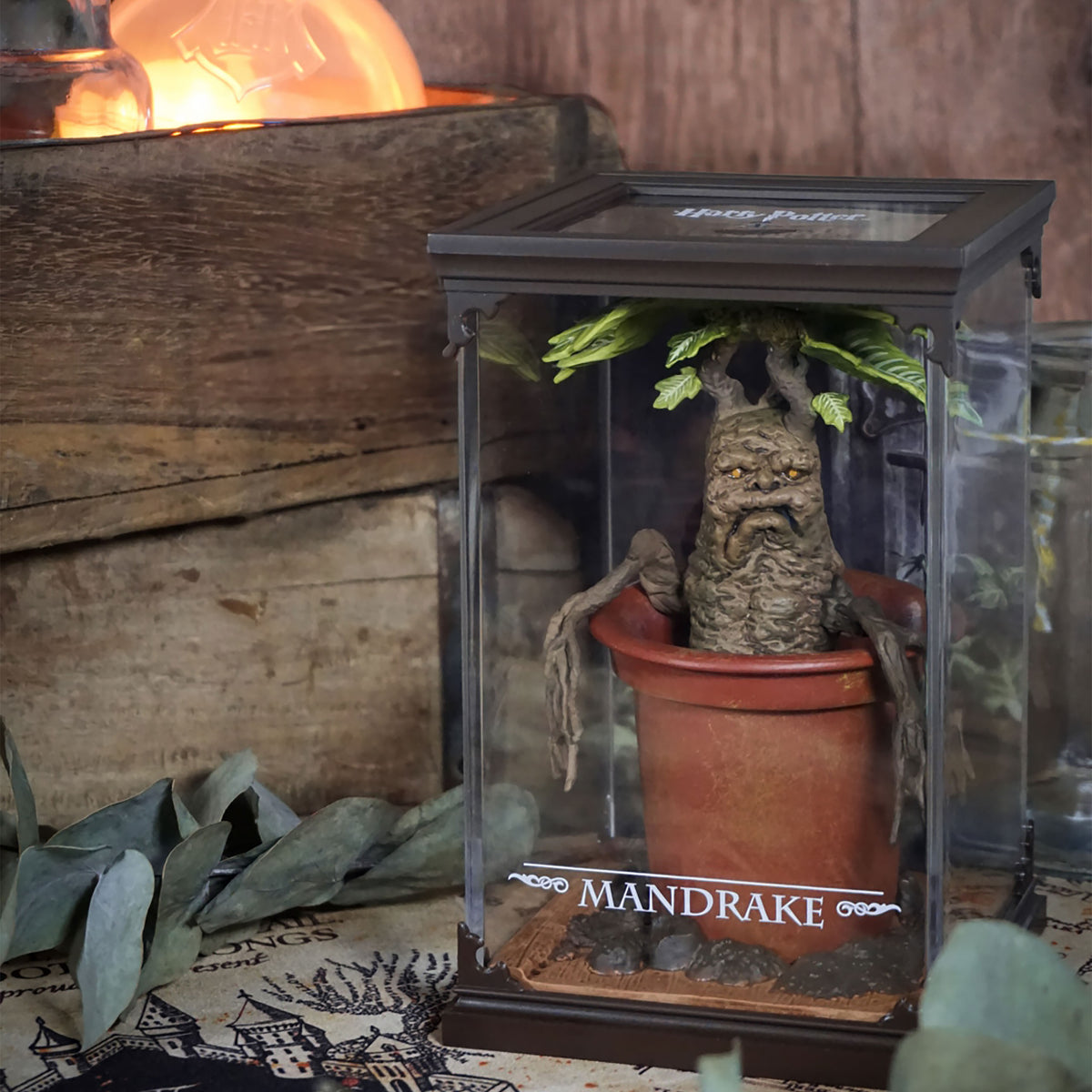 Productafbeelding Mandragora - Harry Potter Magische Wezens Figuur