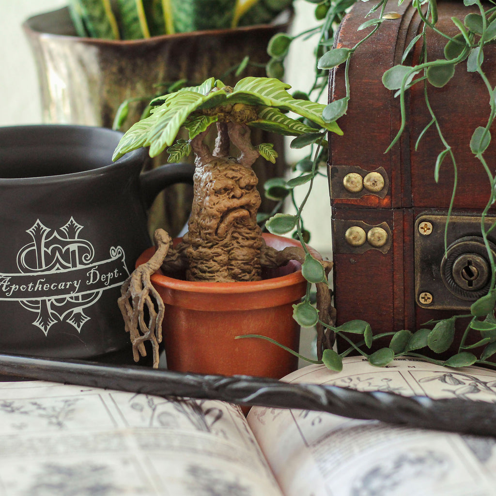Productafbeelding Mandragora - Harry Potter Magische Wezens Figuur