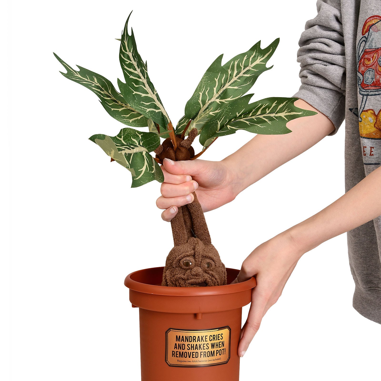 Productafbeelding Harry Potter - Mandragora Knuffel Figuur in Pot met Geluid 46 cm