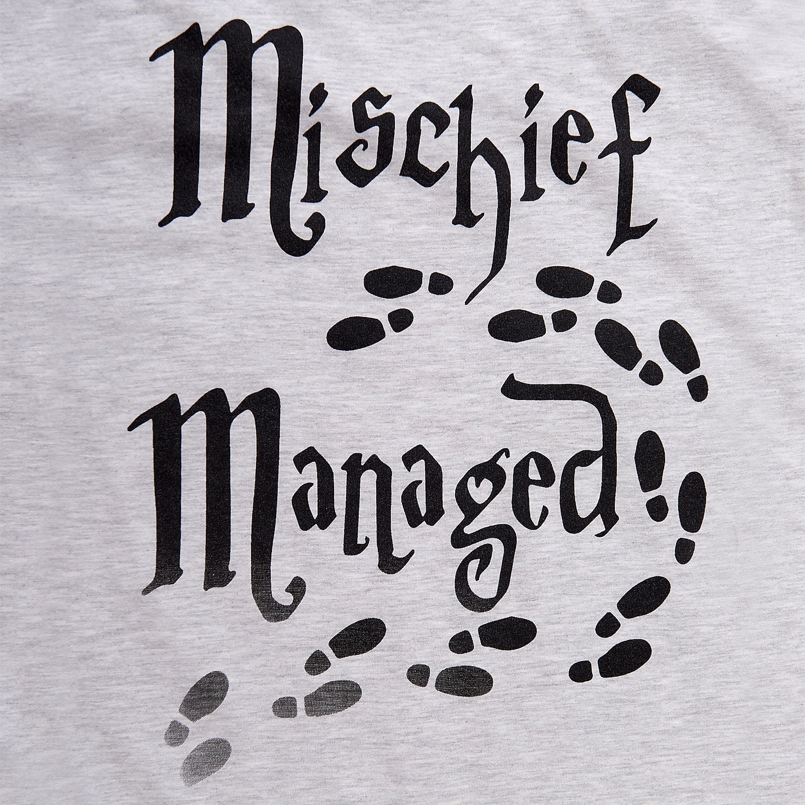 Productafbeelding Harry Potter - Marauder's Map Dames T-Shirt Grijs