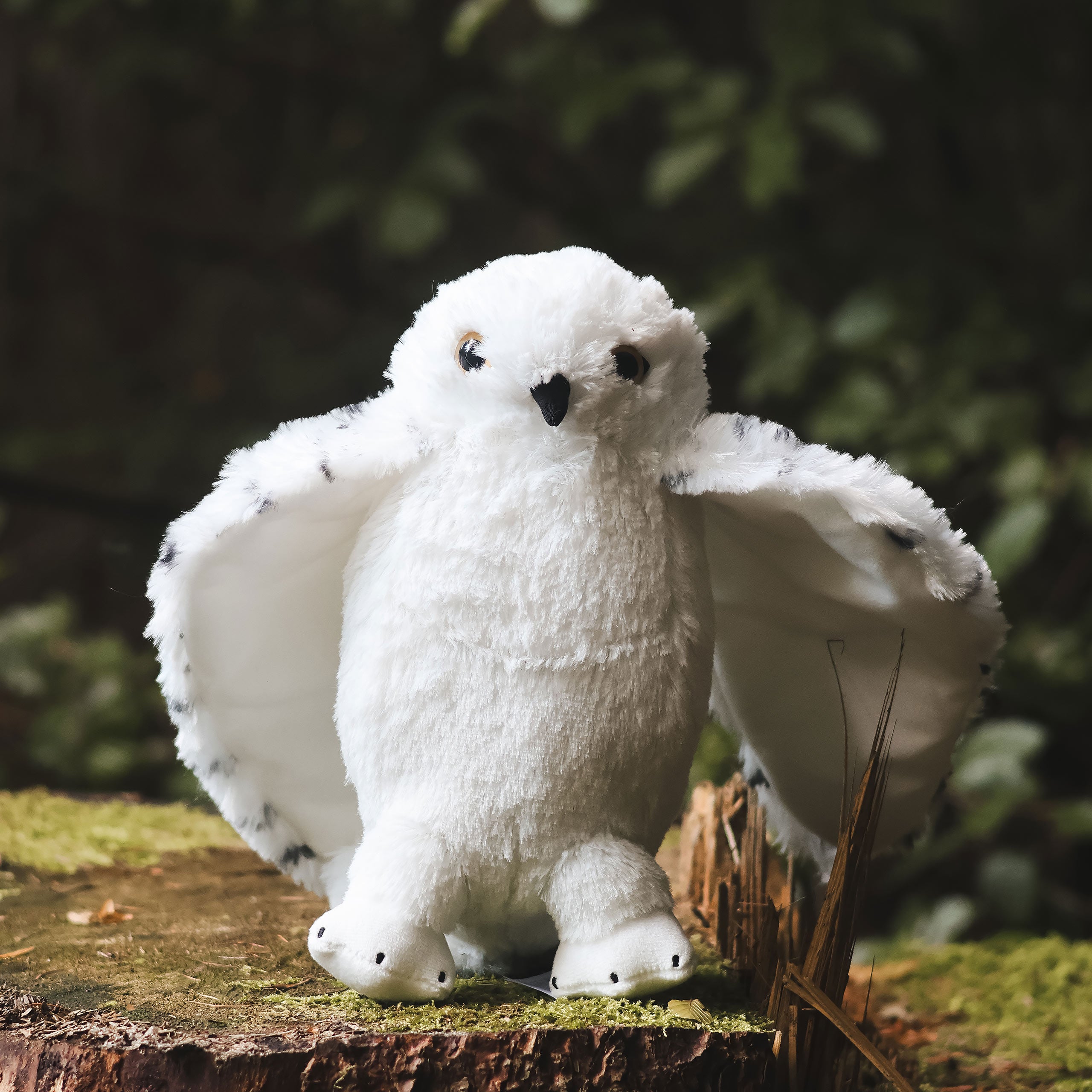 Productafbeelding Hedwig met open vleugels pluche figuur 28 cm - Harry Potter
