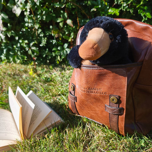 Productafbeelding Niffler Pluche Figuur 25 cm - Fantastische Beesten