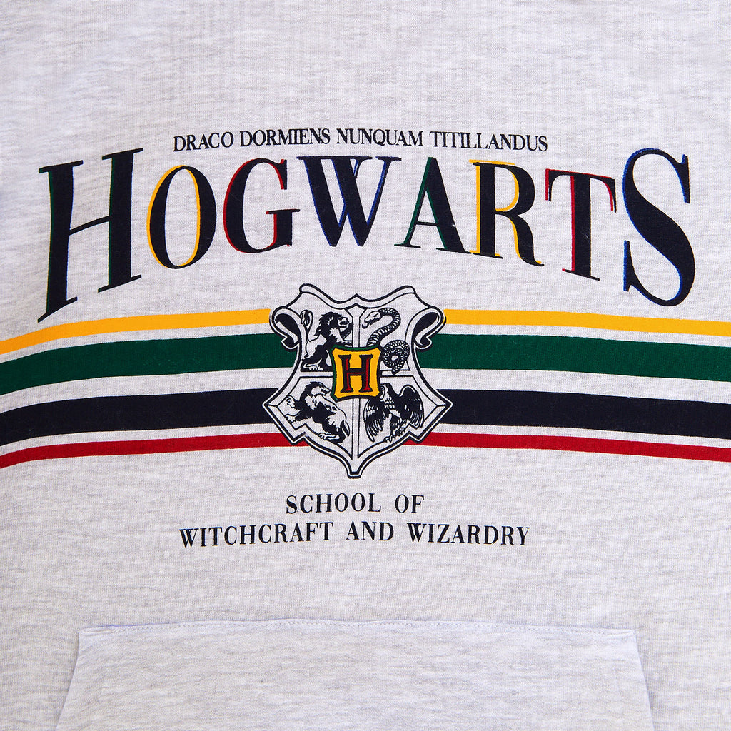 Productafbeelding Harry Potter - Hogwarts Hoodie grijs