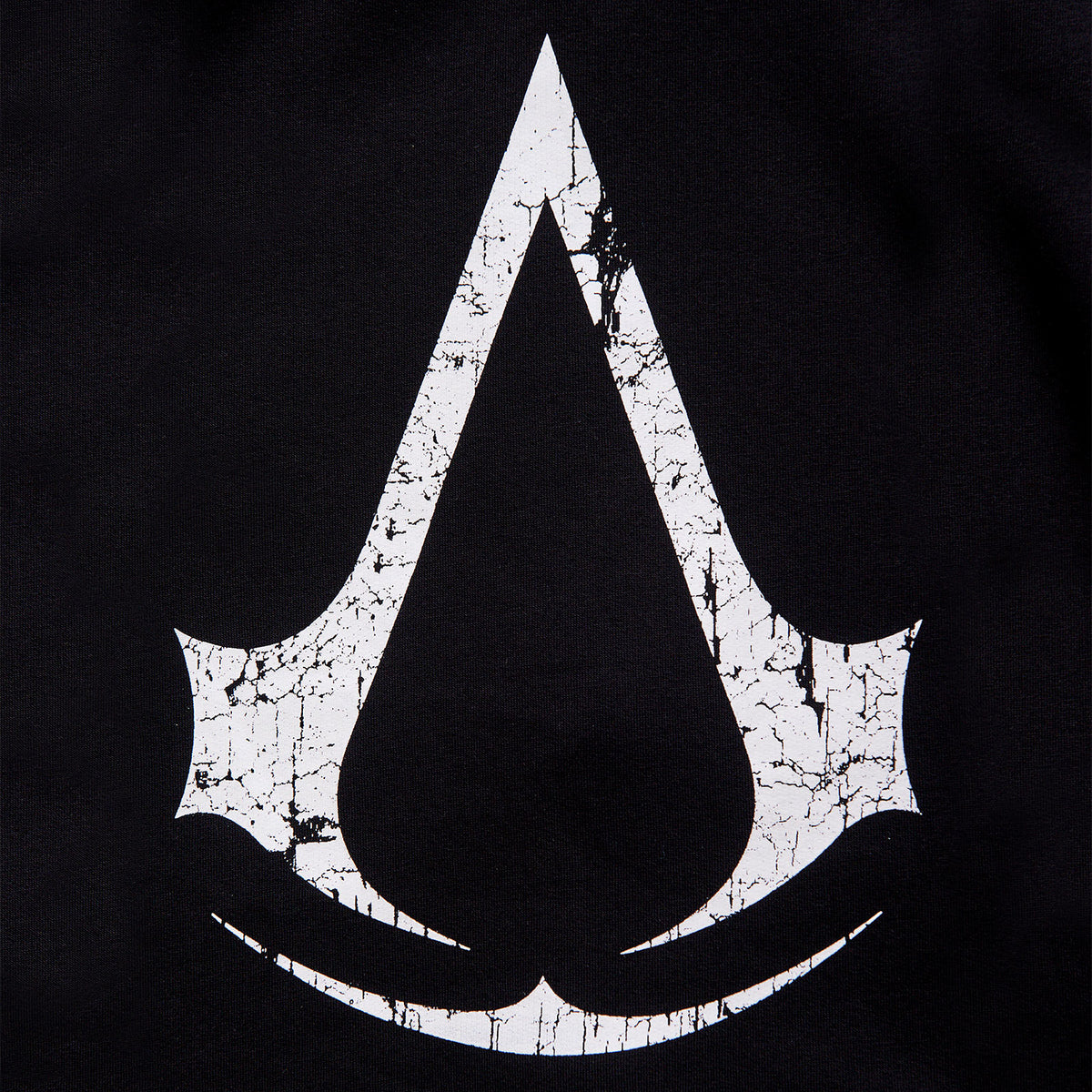 Product image Assassins Creed - Logo Hoodie double layered black