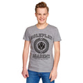 Productafbeelding Roleplay Academy T-Shirt grijs