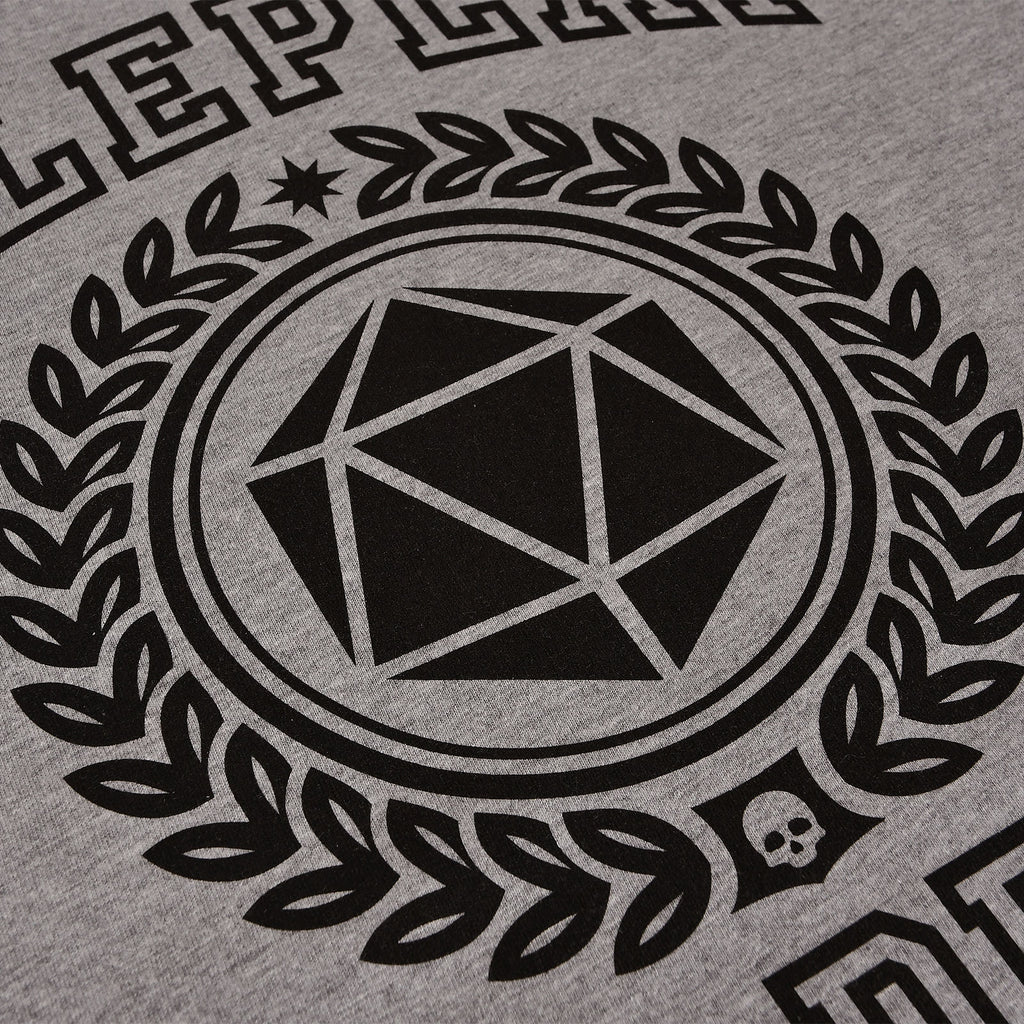 Productafbeelding Roleplay Academy T-Shirt grijs