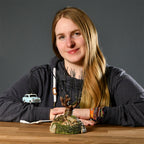 Productafbeelding Stampende wilg met vliegende auto - Harry Potter