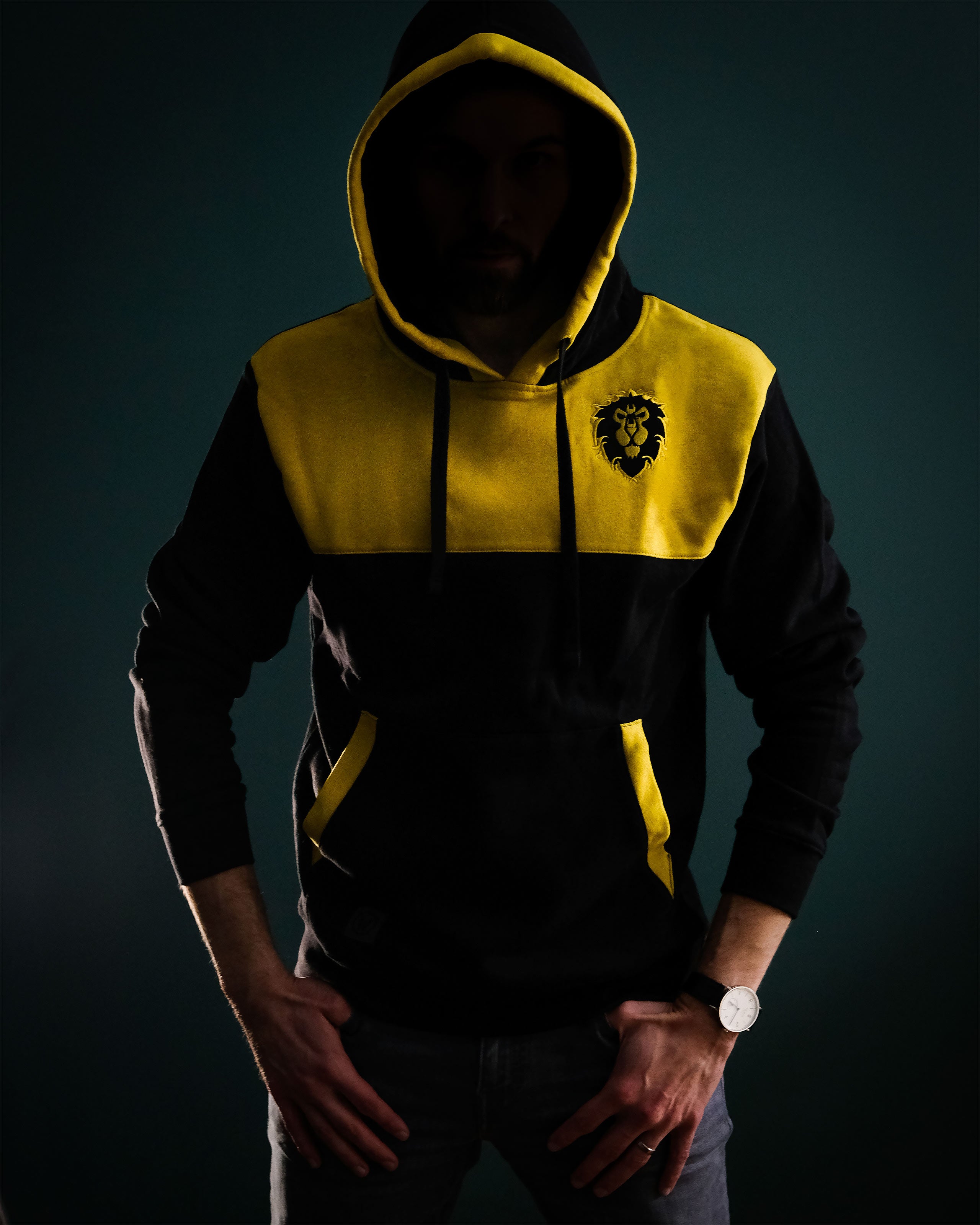 Productafbeelding World of Warcraft - Alliance tot het einde Hoodie