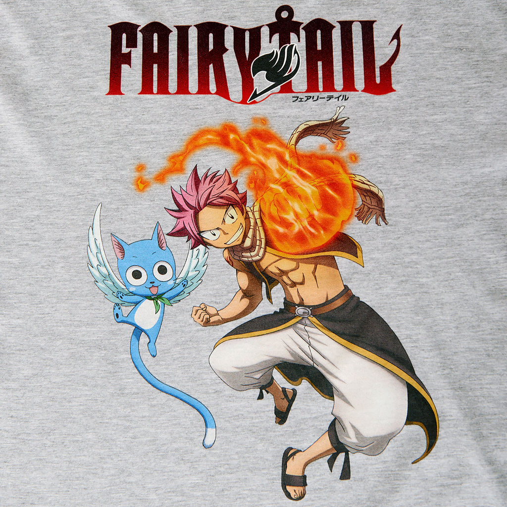 Productafbeelding Fairy Tail - Natsu en Happy T-shirt grijs