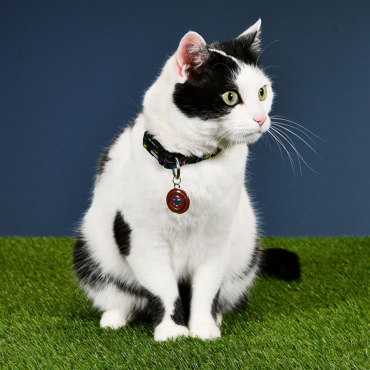 Product image Avengers - Comic Heroes Click-Collar for Dogs