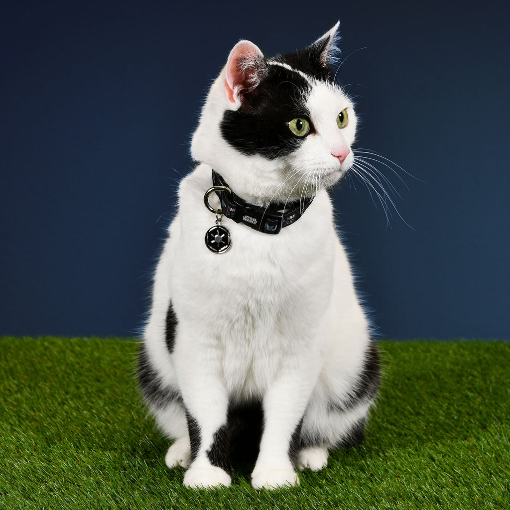 Productafbeelding Star Wars - Darth Vader Klik-Halsband voor Honden Zwart