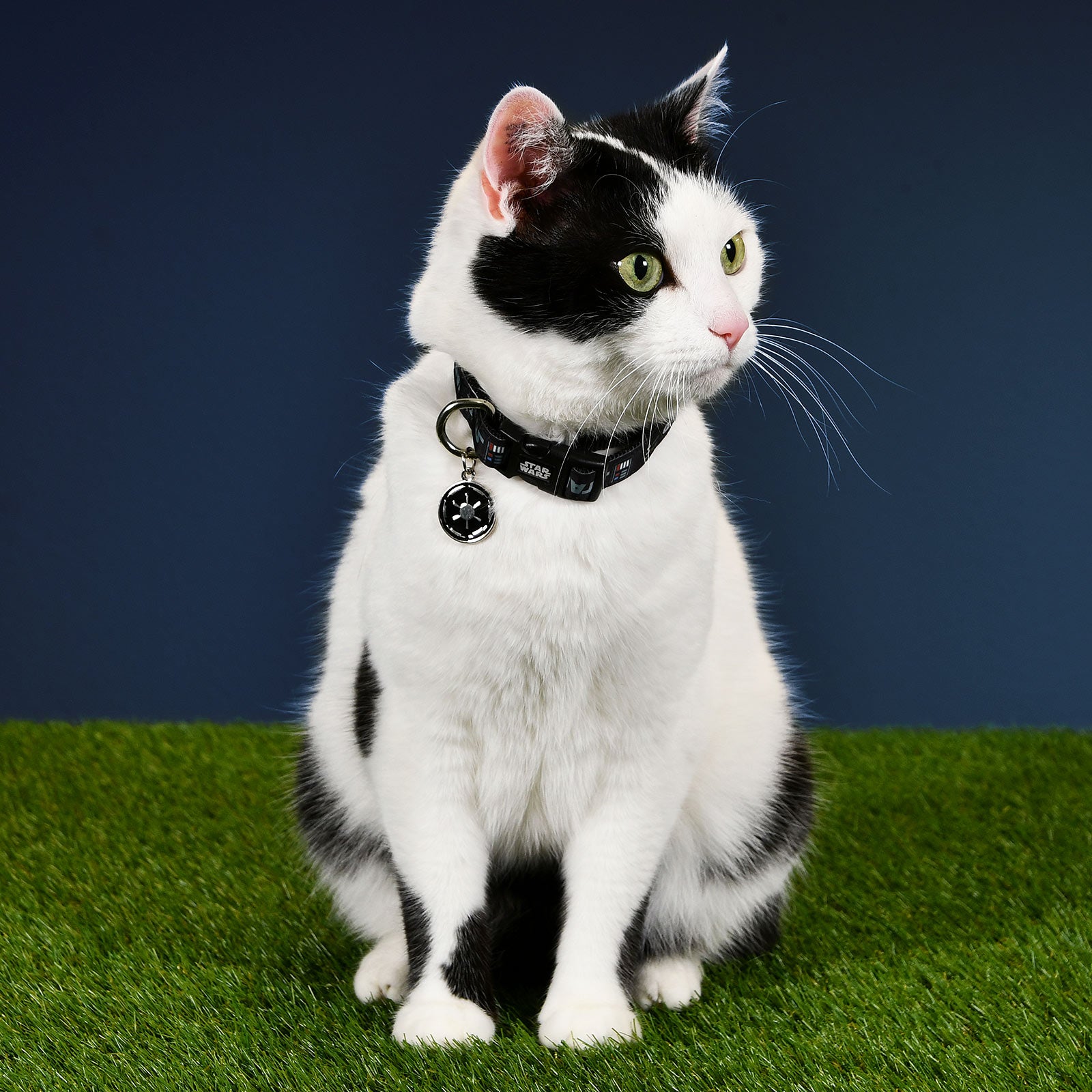 Productafbeelding Star Wars - Darth Vader Klik-Halsband voor Honden Zwart