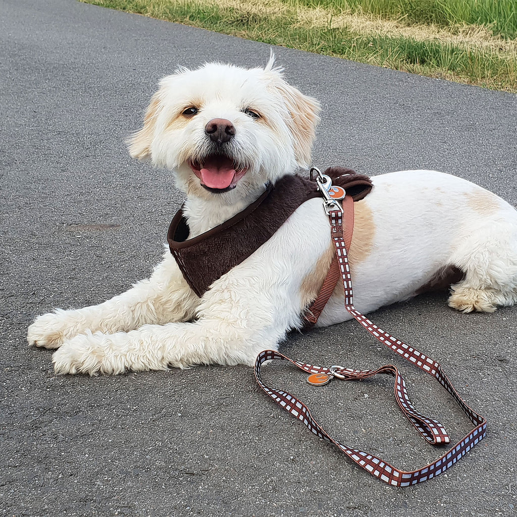 Productafbeelding Star Wars - Chewbacca Hondentuigje Bruin