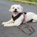 Productafbeelding Star Wars - Chewbacca Hondentuigje Bruin