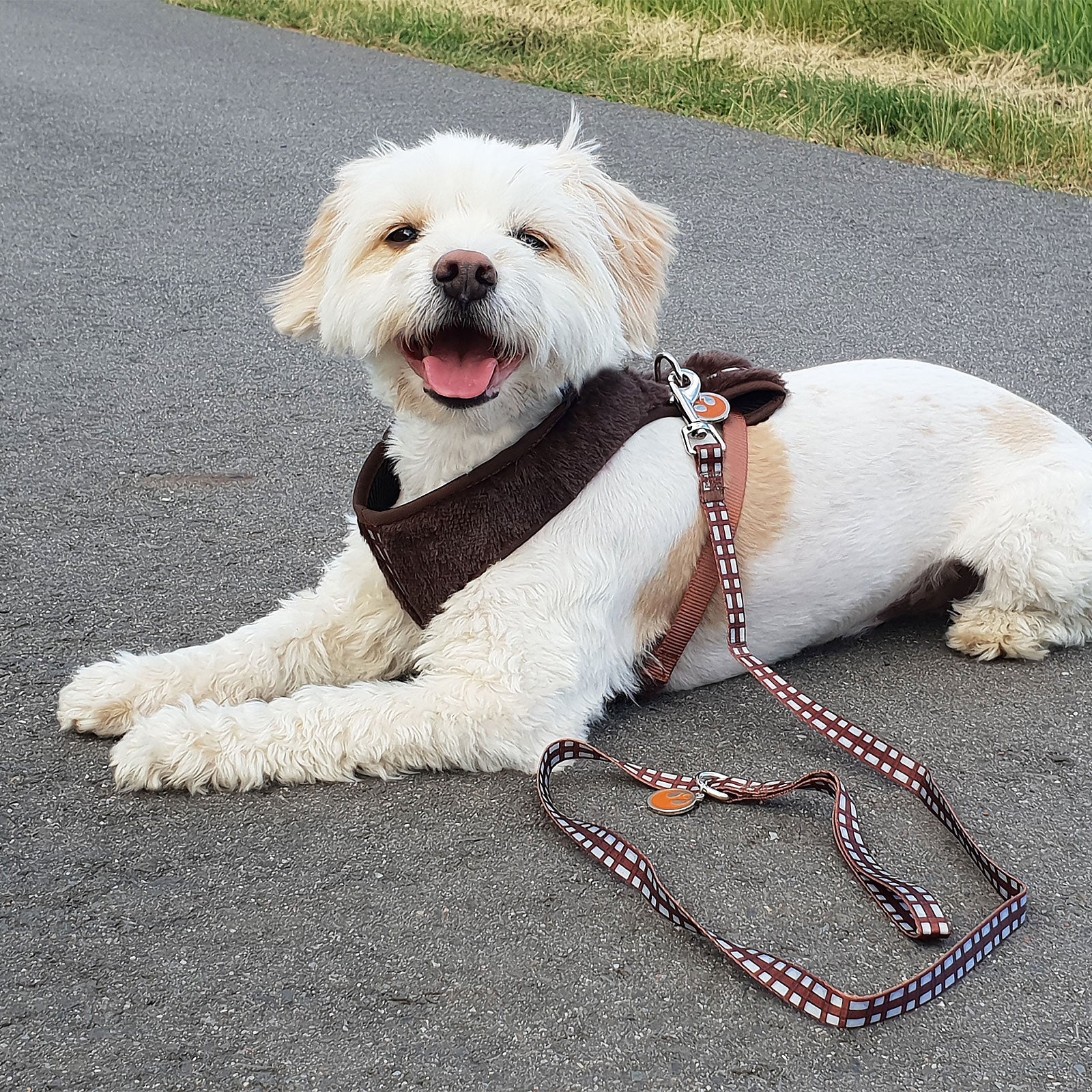Productafbeelding Star Wars - Chewbacca Hondentuigje Bruin