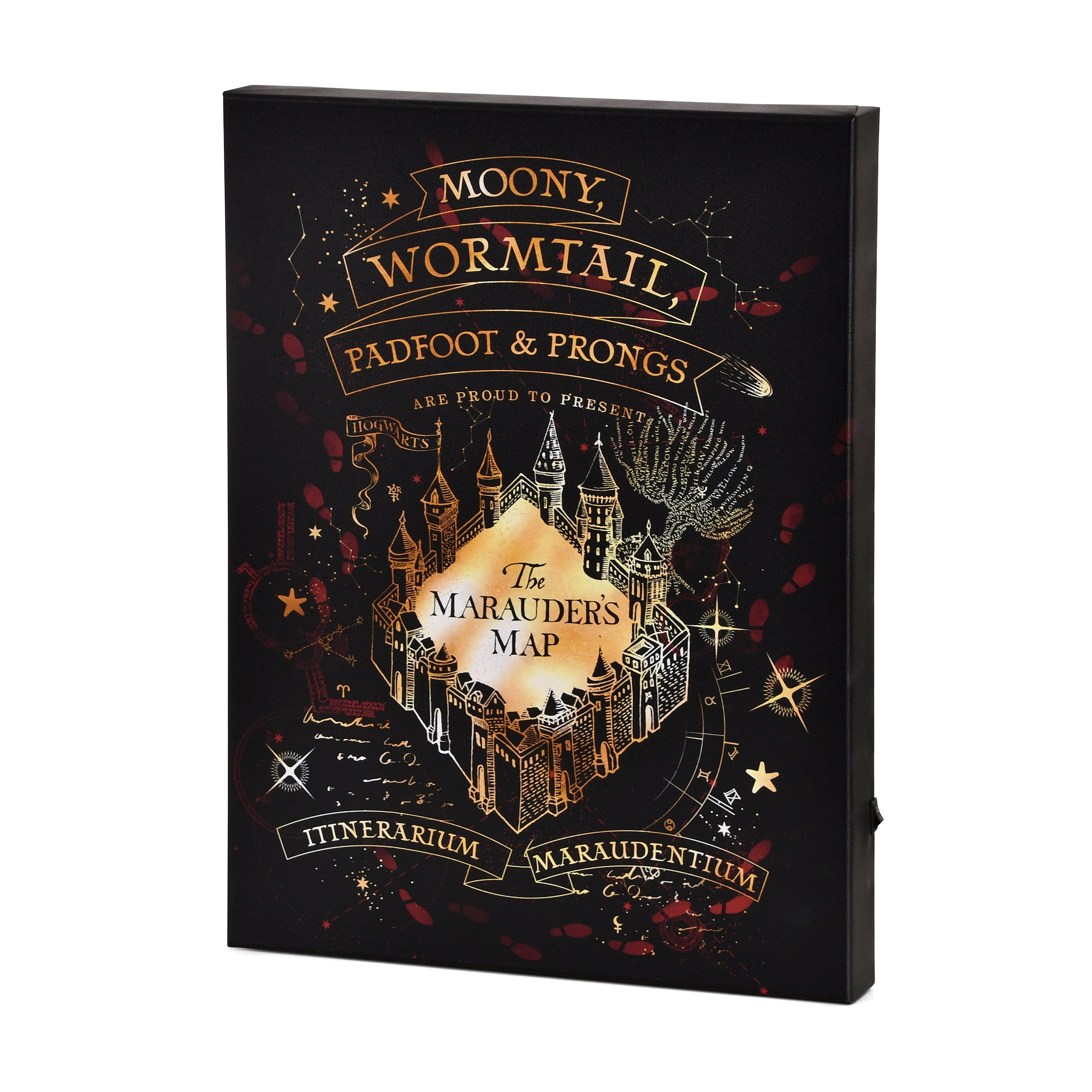 Productafbeelding Harry Potter - Marauder's Map Wandafbeelding met Licht