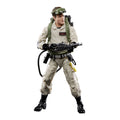 Productafbeelding Ghostbusters - Dr. Ray Stantz Actiefiguur 15 cm