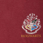Product image Harry Potter Gryffindor Seeker Oversize T-Shirt Women Red