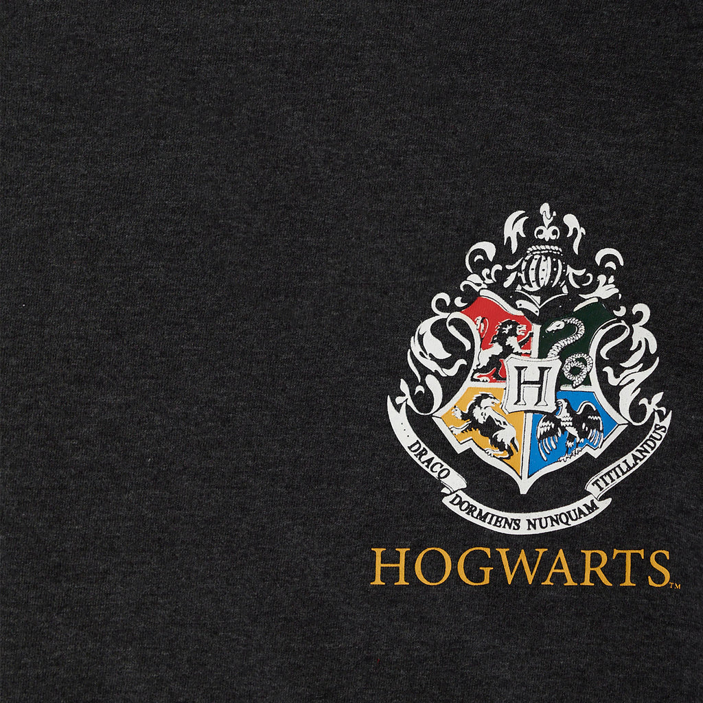 Productafbeelding Hufflepuff Zoeker Diggory Oversize Dames T-shirt Grijs - Harry Potter