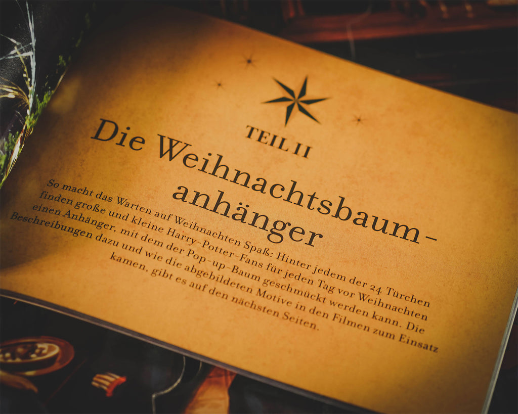 Productafbeelding Harry Potter - Kerst in Zweinstein - Het Grote Adventskalenderboek